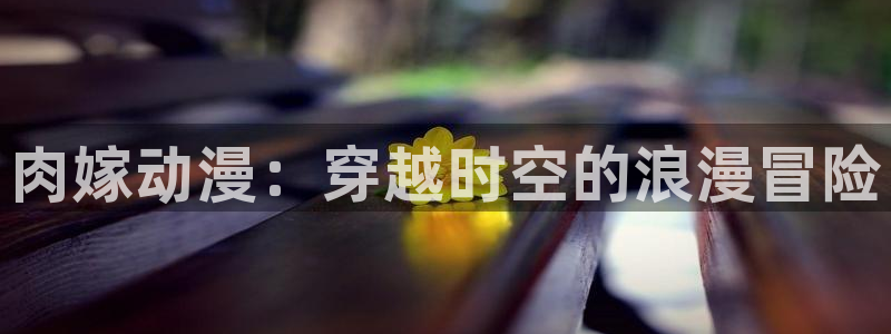 动漫屋下载安装：肉嫁动漫：穿越时空的浪漫冒险