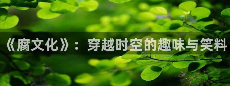 动漫屋app官方正版：《腐文化》：穿越时空的趣味与笑料